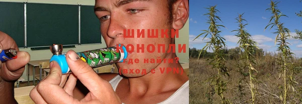 гашик Бронницы
