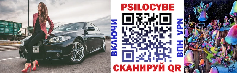 Псилоцибиновые грибы прущие грибы  Жиздра 